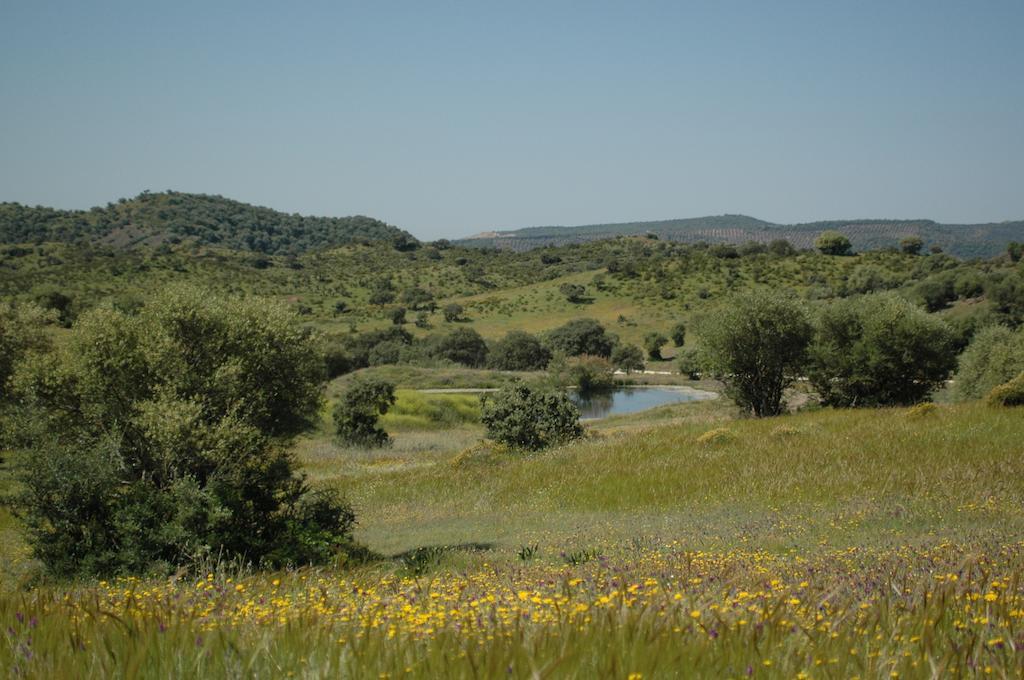 Albergue Rural De Fuente Agria Vandrerhjem Villafranca de Córdoba Eksteriør bilde