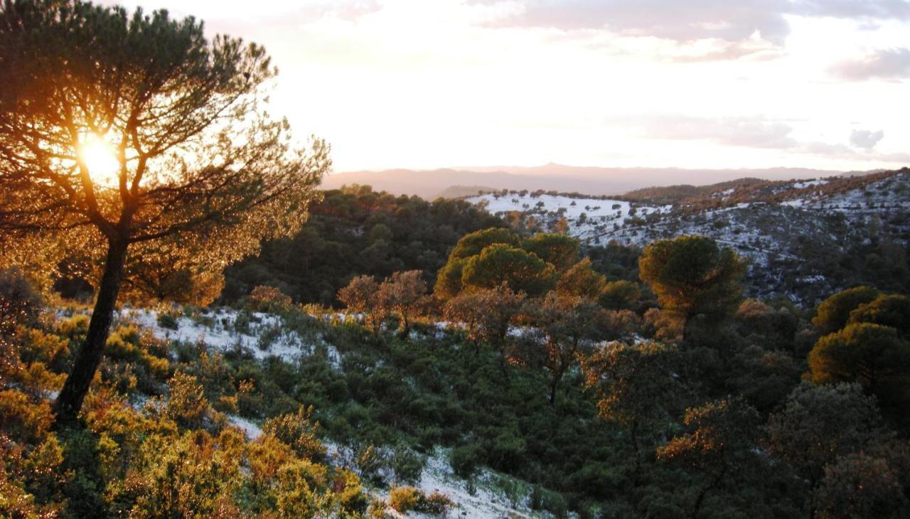 Albergue Rural De Fuente Agria Vandrerhjem Villafranca de Córdoba Eksteriør bilde